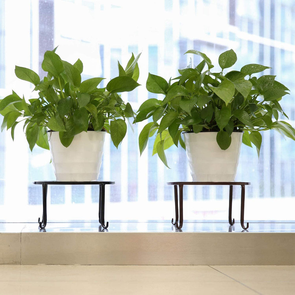 3 Pack Potted Plant Stand | Rustproof round Flowerpot Plant Holder Container Durable Metal Garden Plant Support for Indoor Outdoor, Black