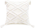 Boho White Throw Pillow Cover 18X18 Inch with Tassels, Moroccan Tufted Decorative Cream Chenille Fabric Accent Textured Cushion Case for Bed Couch, 1 PC Cover Only No Insert